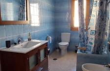 La lechuza blanca - Foto 23