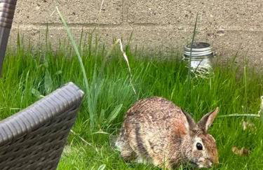 Unique Artsy 2 Bdrm Apt 1.5 mi from Downtown - Foto 47