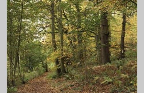 Cosy and Peaceful Maisonette with Terrace, Kidderminster - Foto 39