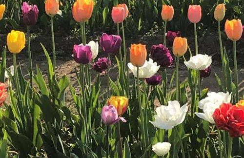 Sogno Sulcitano Masainas - Foto 68