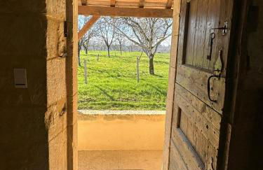 Ancien musée de la noix - Foto 10