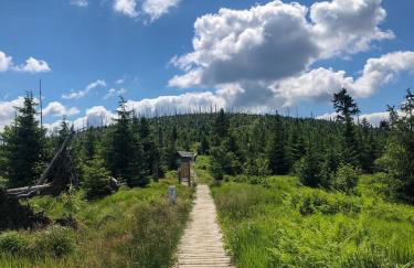 Studio Sumava-Bayerischer Wald - Foto 17