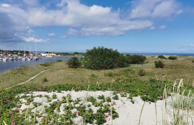 4 Person Holiday Home in Hals - Foto 35