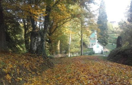 Casa "Dolina Kraljevac" - Foto 19