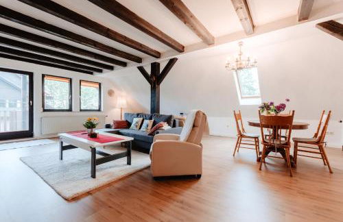 Olifant in Osterode - Foto 6