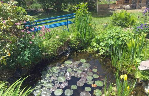 Hibiskus - a83456 - Foto 14