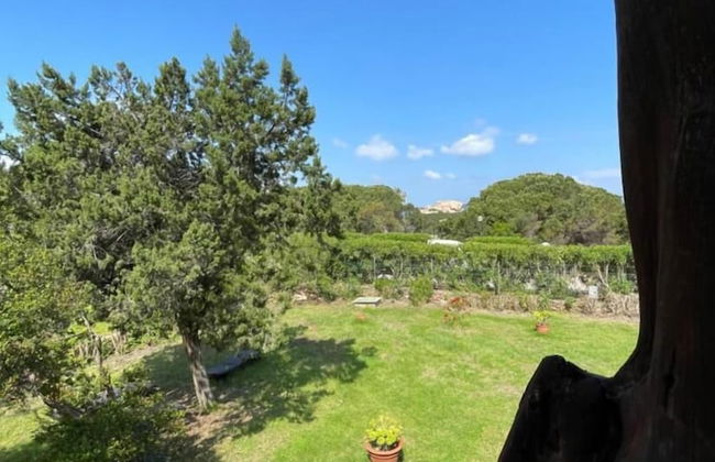 Le Dimore di Villa del Sole 8 Posti Letto Vista Mare - Photo 14