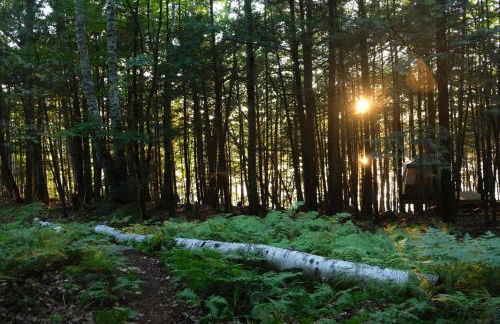 Hidden Gem on Golden Pond - Foto 24