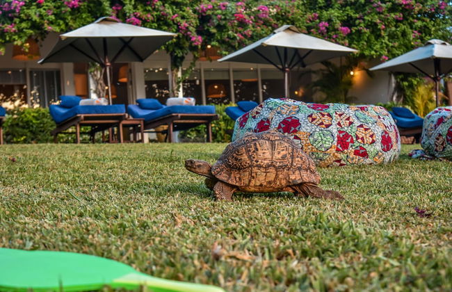 Kidoti Villas by Z - Foto 28