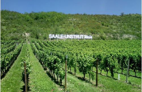 stay!apart Gieckau - Foto 32