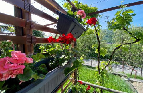 Apartman Verona Buzet - Foto 26