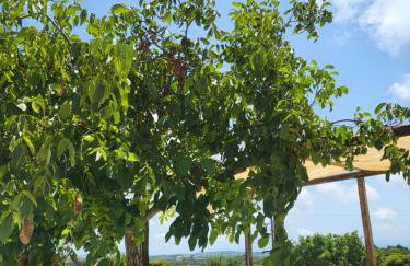 Angelos Stone Cottage - Foto 18