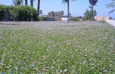 Family house with nice garden 10min from Sanlúcar - Photo 13