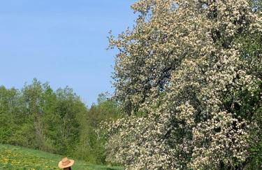 The Disco Den on Toad Road - Photo 23