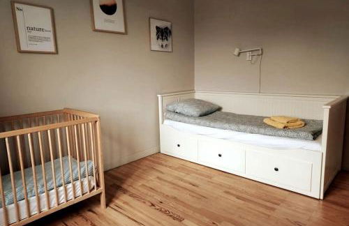 L'Amphithéâtre des Volcans - Vue Puy de Dôme - Foto 20