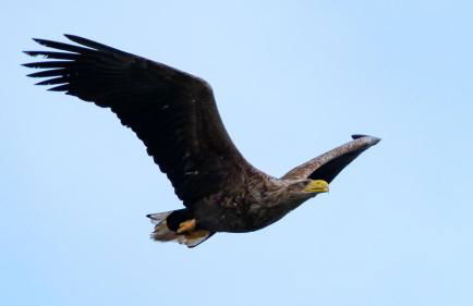 Dairy Cottage - Photo 26