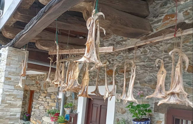 Free tour dans Cudillero - Photo 2