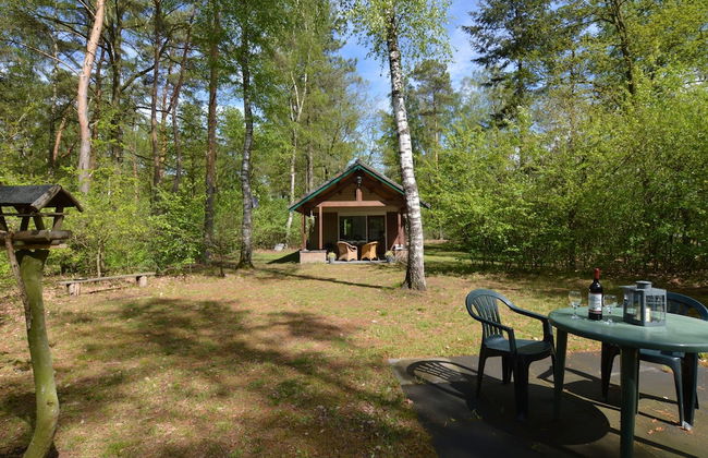 Romantic Forest Retreat With Sauna - Photo 25