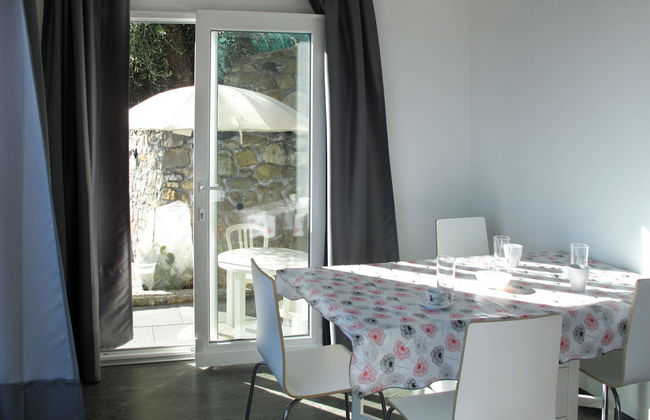 Passiflora (SLR400) - Foto 4