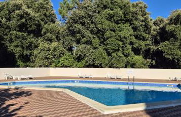 Le Ptit Vertbois - Foto 12