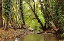 Casa da Rosalina - Foto 12