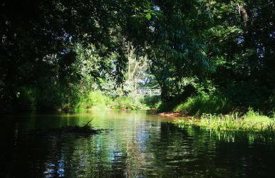 Na Chałupki - Foto 22