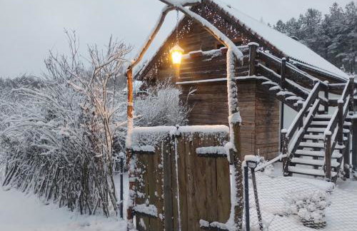 Forreset - leśny reset - Foto 73