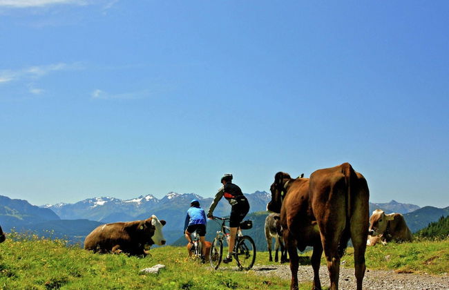 Cozy Apartment in Obsteig near Ski Area - Foto 40
