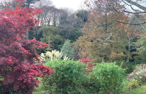 Clonaslee House - Foto 44