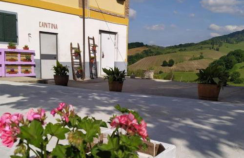Cascina Angelina - Photo 1