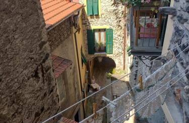 sax & rosa - Foto 18