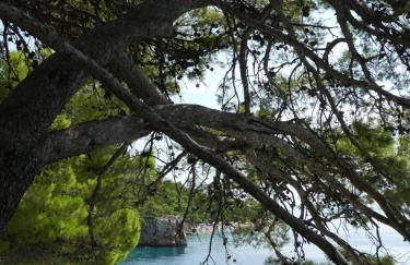 Sunset Villa Brela - Foto 15