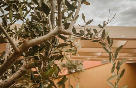 Il giardino di Gaia - Photo 38