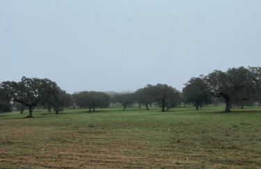 Casa Rural El Gamo - Foto 47