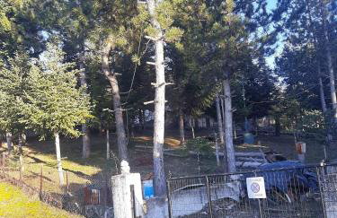 Country destination in mountainous Trikala! - Photo 9