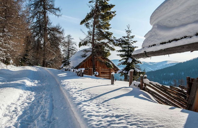 Apartment in Katschberg Near Ski Slopes - Photo 52