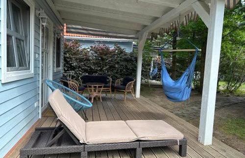 Kwiat Paproci - Foto 54