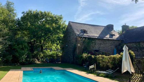 The Barn Owls - Foto 2