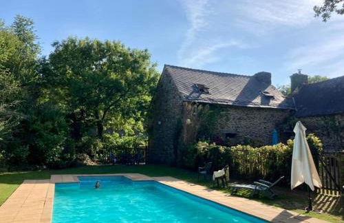 The Barn Owls - Foto 2