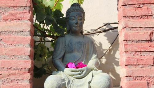 Finca Doña Sofia Maria - Foto 2, Garden