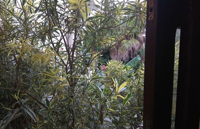 Residence Manel Cabo 2 - Foto 7