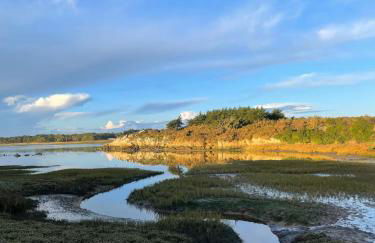 Maison de Bourg en Pierre au cœur de Plouharnel - Foto 16