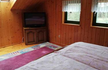 Domek letniskowy Pod brzozami Pszczew - Foto 31