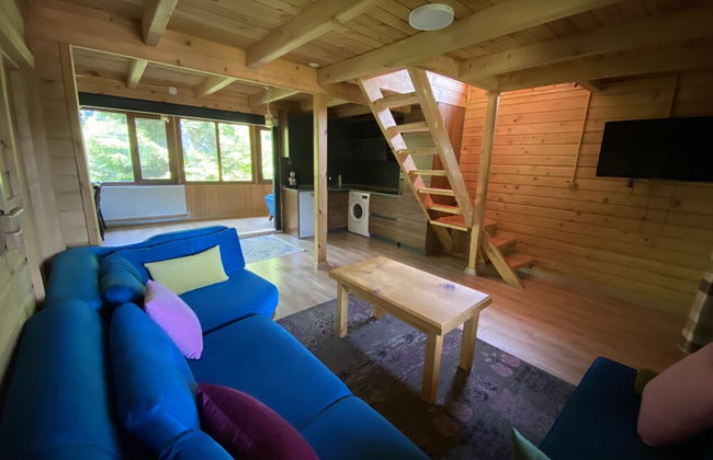 Villa Gencal Ayder - Photo 46