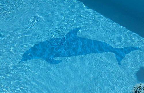 Aparthotel Marina Gromela - Photo 106