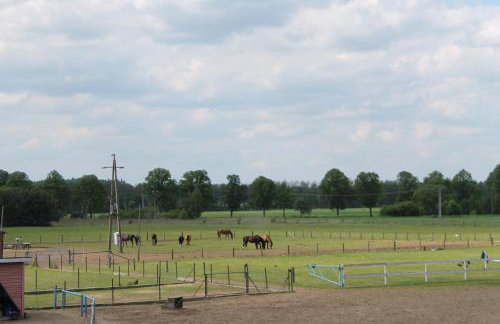 Samsara - Prawdziwa Agroturystyka - Photo 27