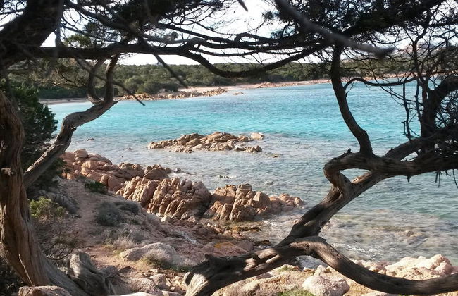 Apartment in Cannigione - Foto 16