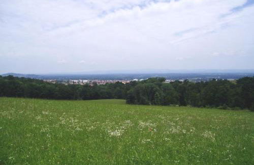 Gîte cosy pour 2 avec jardin et cheminée à Montbrison - FR-1-496-158 - Foto 19