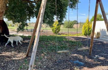 Quinta do Pé da Charca - Foto 28