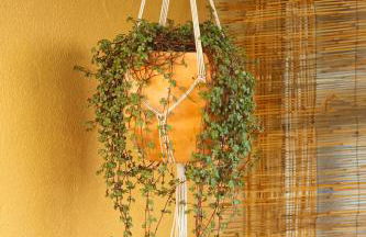 Welcoming House in Medros with Terrace - Foto 29